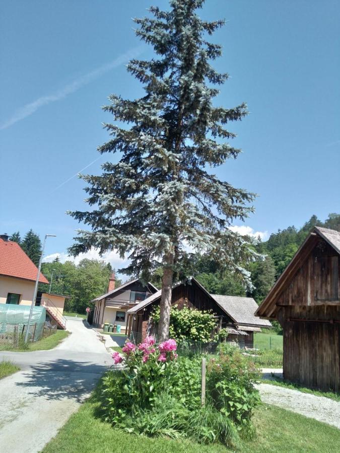 Hiska Zeleni Raj Villa Podnart Exterior photo